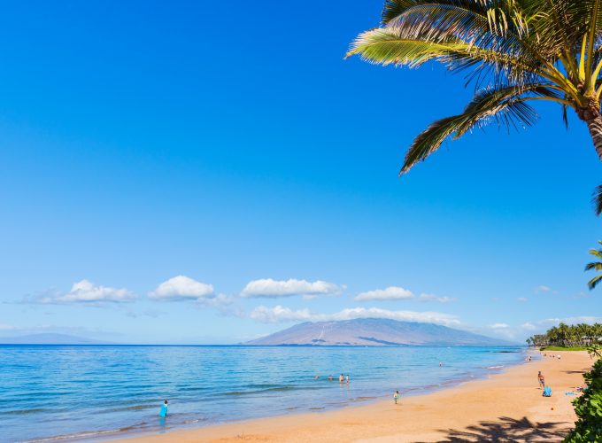 Wallpaper Maui, Hawaii, beach, ocean, coast, palm, sky, 5k, Nature 289452042